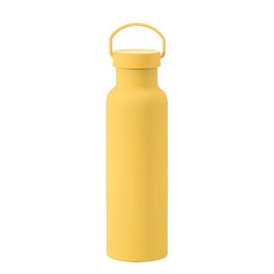 Botella de vacío desechable de acero inoxidable de color sólido Taza deportiva aislada con mango