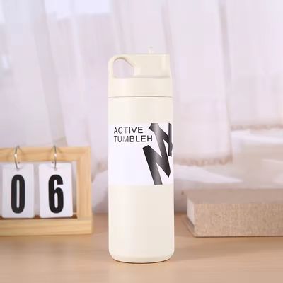 Logotipo personalizado Botella de agua de acero inoxidable de 550 ml Vaso térmico de vacío Taza creativa para deporte