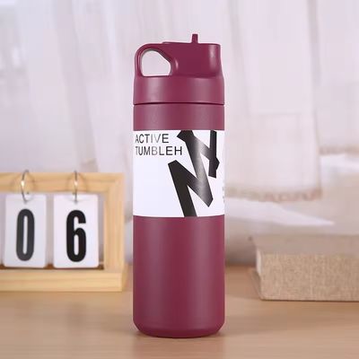 Logotipo personalizado Botella de agua de acero inoxidable de 550 ml Vaso térmico de vacío Taza creativa para deporte
