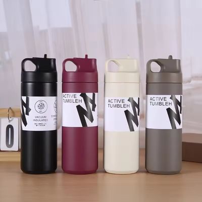 Logotipo personalizado Botella de agua de acero inoxidable de 550 ml Vaso térmico de vacío Taza creativa para deporte