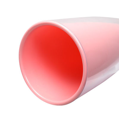 Cafetera de plástico de pared doble de 24 oz con múltiples opciones de color y paja