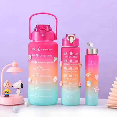 Logotipo personalizado 3 en 1 Botella 250g 120g 63g Estilo Tomatodos Botella de agua de plástico