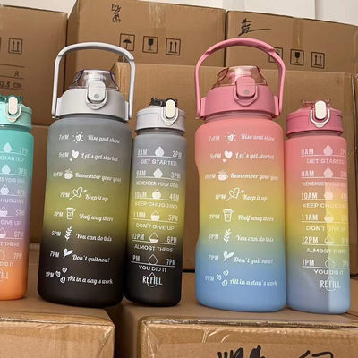 Logotipo personalizado 3 en 1 Botella 250g 120g 63g Estilo Tomatodos Botella de agua de plástico