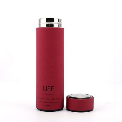 Botellas de vacío 500 ml Termos de té de acero inoxidable Botella de bebida aislada con filtro