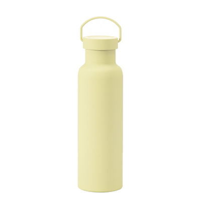 Estilo de diseño clásico Botella de agua aislada de acero inoxidable con mango Eco-friendly