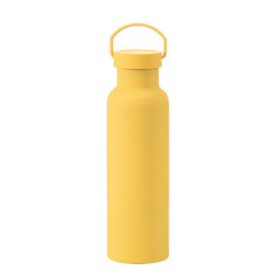 Estilo de diseño clásico Botella de agua aislada de acero inoxidable con mango Eco-friendly
